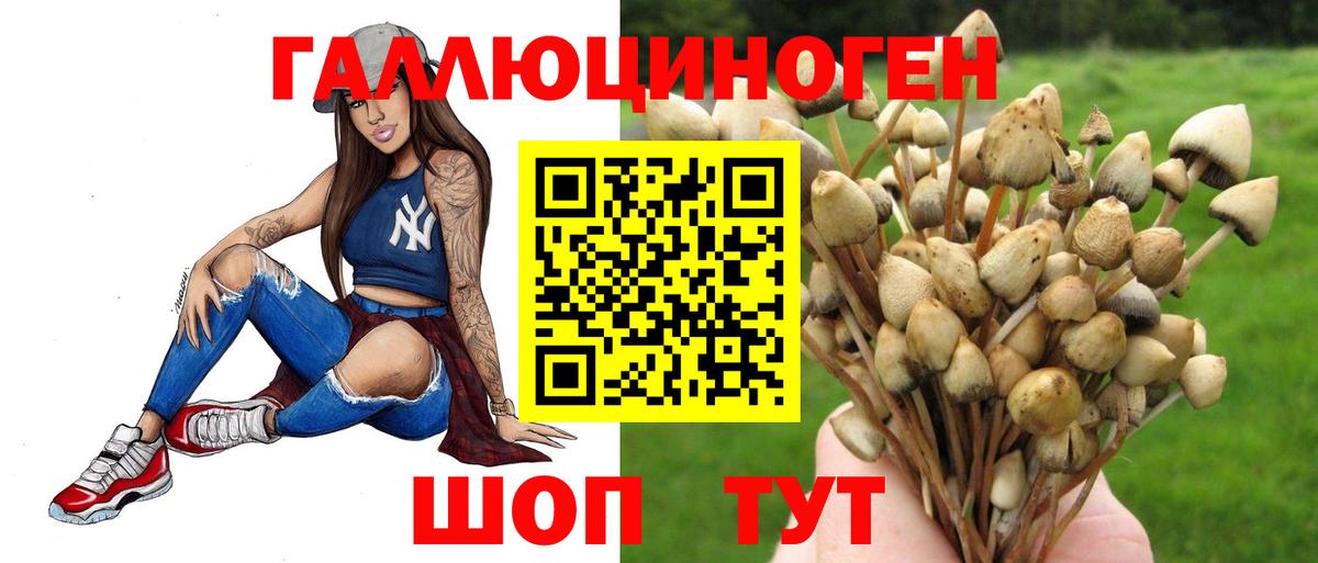 Галлюциногенные грибы мухоморы  Вход с VPN  Усть-Джегута 